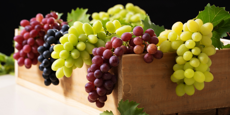 Que productos se puede hacer con la uva